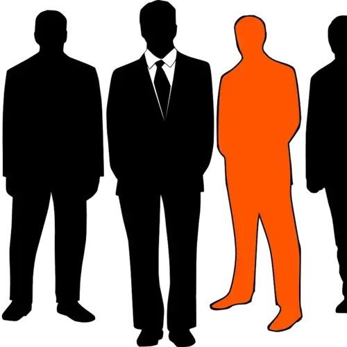 estudios cualitativos