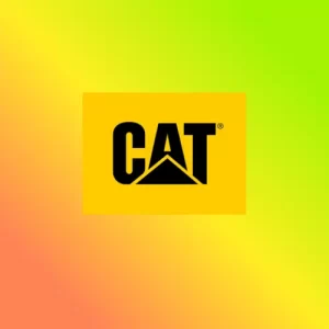 estudios de mercados